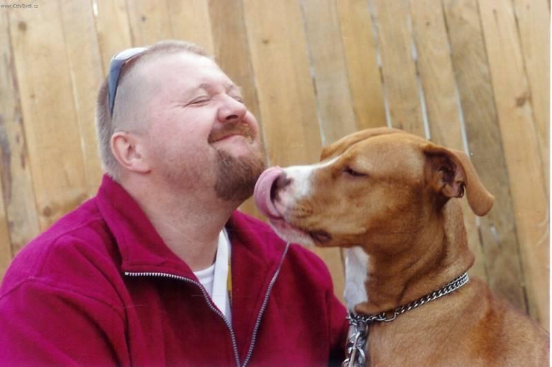 Fotky: Americk� pitbull teri�r (foto, obrazky)