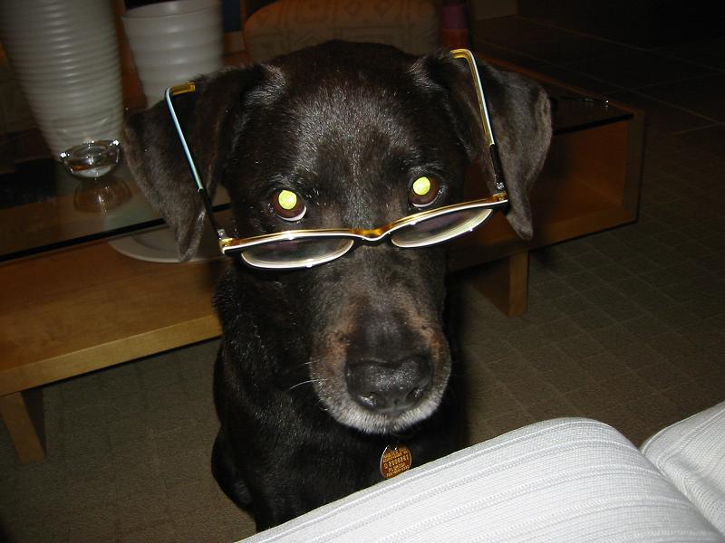 Fotky: Kastrace - ano �i ne? (foto, obrazky)