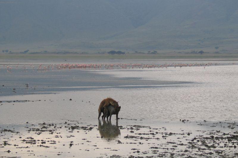 Fotky: Ke�a (cestopis) (foto, obrazky)