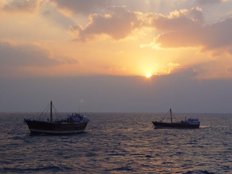 Foto: Kuvajt-Dows off Halul Island