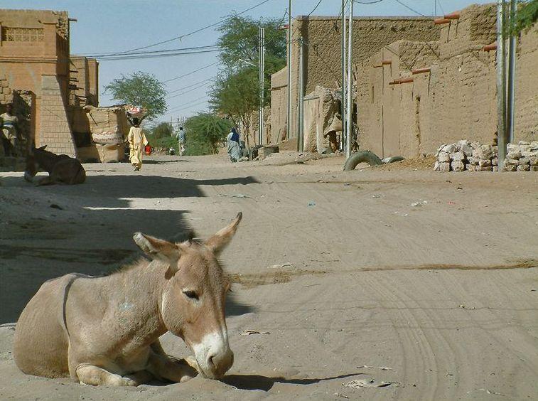 Foto: Mali-Tombouctou