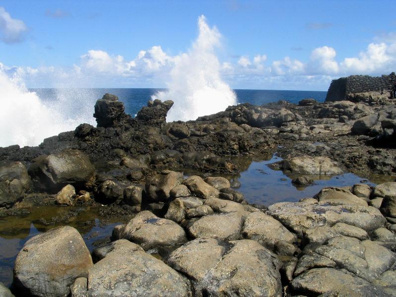 Foto: Mauricius-Savanne