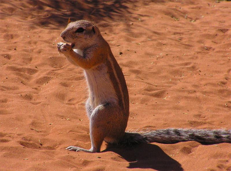 Foto: Namibie-Hardap