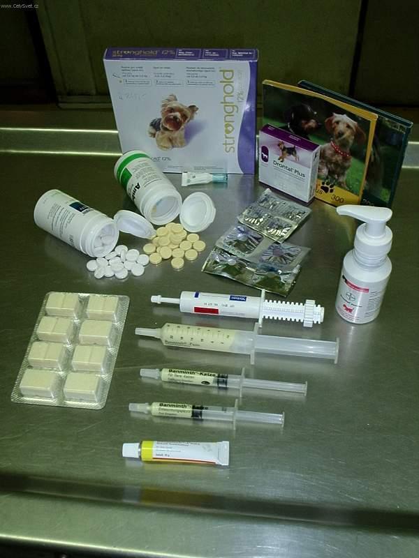 Fotky: Od�erven� ko�ek (foto, obrazky)