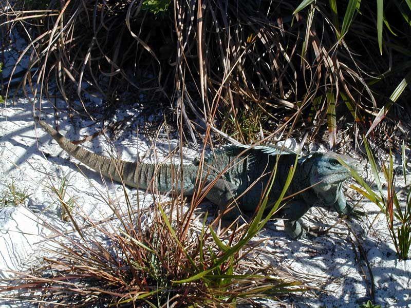 Foto: Ostrovy Turks a Caicos