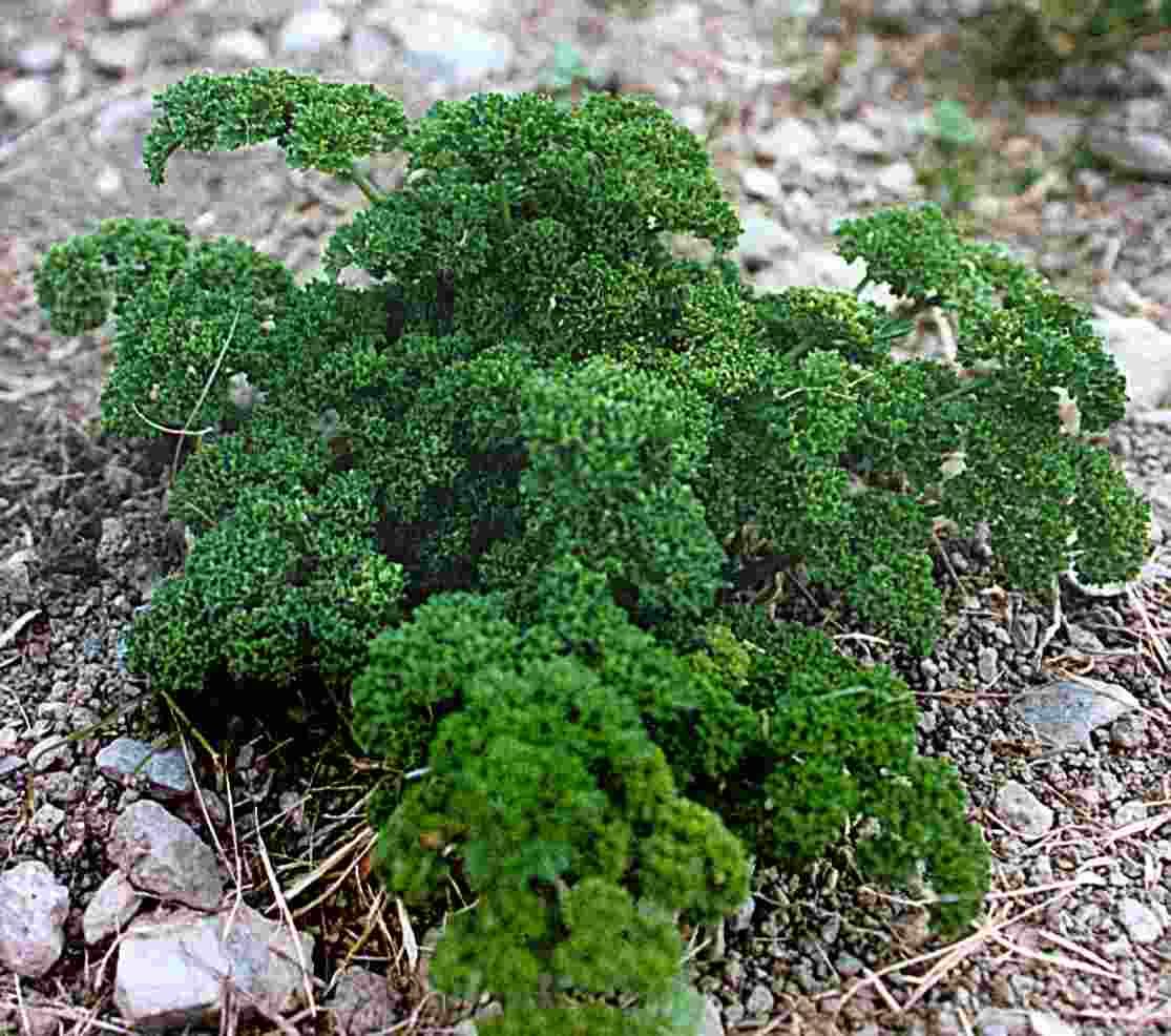 Foto: Petr�el Kade�av�