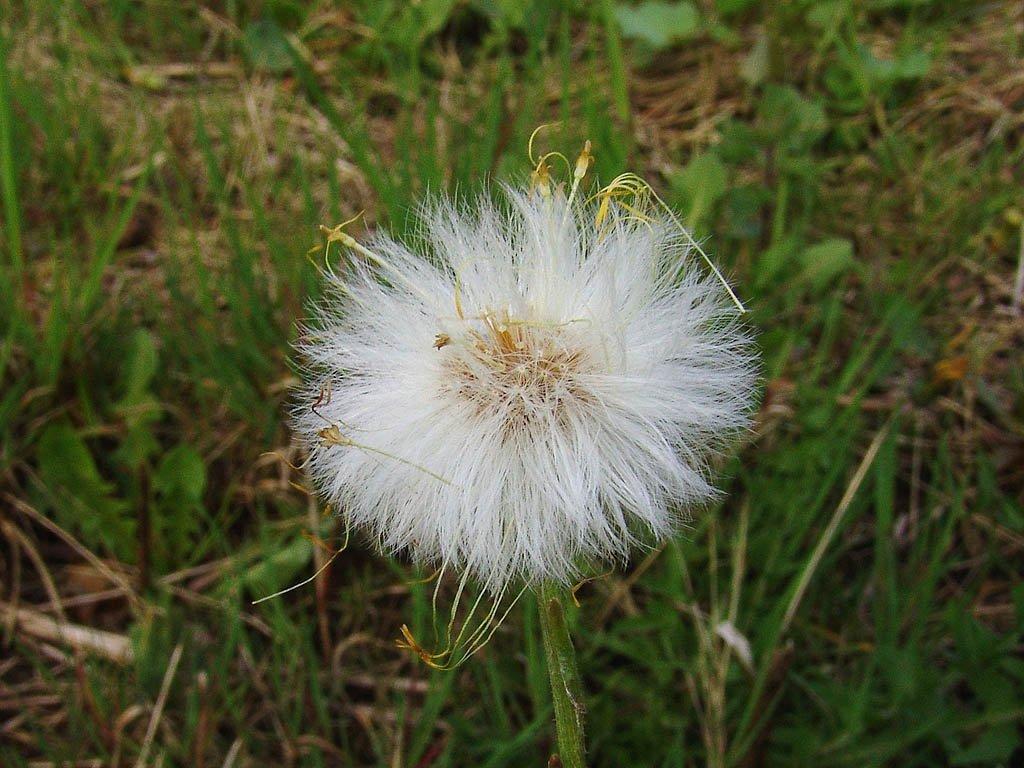 Foto: Podb�l L�ka�sk�