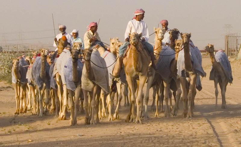 Foto: SAE � Spojen� Arabsk� Emir�ty