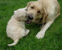 Foto: �t�n� a v�e o n�m