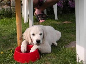 Foto: �t�n� a v�e o n�m