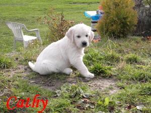 Foto: �t�n� a v�e o n�m