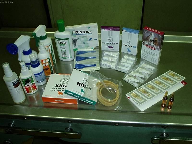 Foto: Vn�j�� parazit� ko�ky