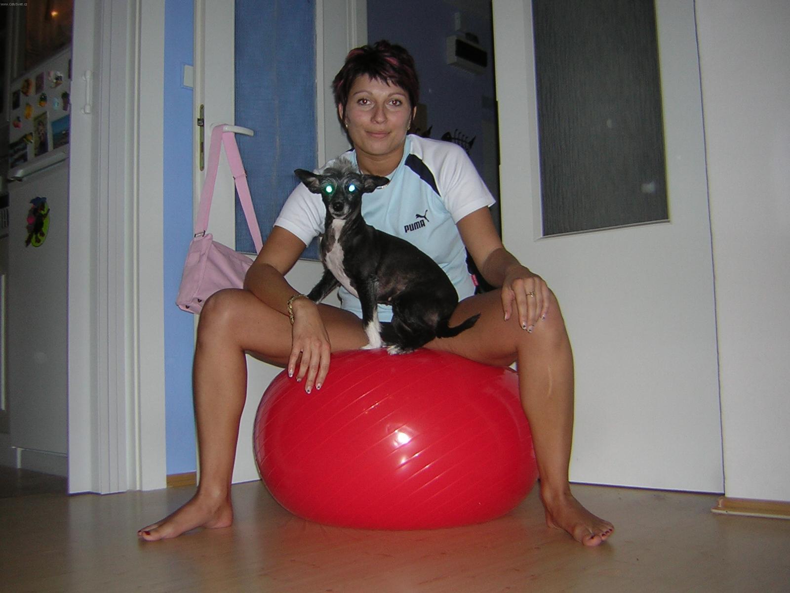 Fotky: V�chova psa (foto, obrazky)