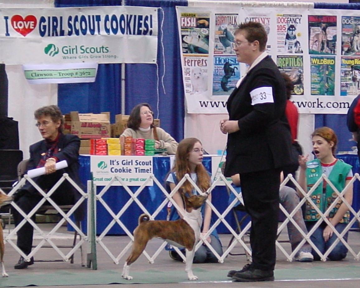 Fotky: V�stavy ps� v �R 2006 (foto, obrazky)