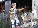 Ps� plemena:  > Americk� akita (American akita)