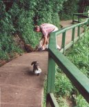 Fotky: Braz�lie (cestopis) (foto, obrazky)