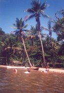 Fotky: Braz�lie (cestopis) (foto, obrazky)