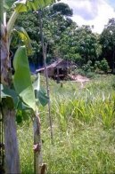 :  > Ekv�dor (cestopis) (Republica del Ecuador)