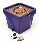 Pokojov� rostliny: P�stitelsk� rady > Hydroponie (Hydroponics)