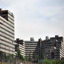 Fotky: �r�n (foto, obrazky)