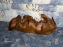 Ps� plemena:  > Irsk� setr (Irish Red Setter)