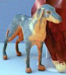 :  > Maratsk� loveck� pes (Mahratta Greyhound)