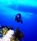 Fotky: Mikron�sie (foto, obrazky)