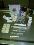 :  > Od�erven� ko�ek (�krkavky, tasemnice, giardi�za a kryptospor�za, toxoplazm�za)