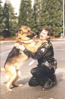 :  > Potrest�n� pejska (trest psa)