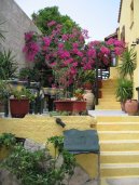 Zem�pis sv�ta:  > �ecko