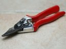 Pokojov� rostliny:  > �ez, tvarov�n� a p�stitelsk� triky (Trimming, shaping, polishing, leaves, etc.)
