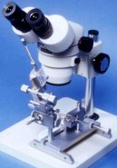 Ps� plemena:  > Um�l� inseminace (Veterin�rn� rady)