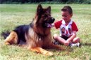 Ps� plemena:  > V�dr� a ostatn� povely (Basic commands)
