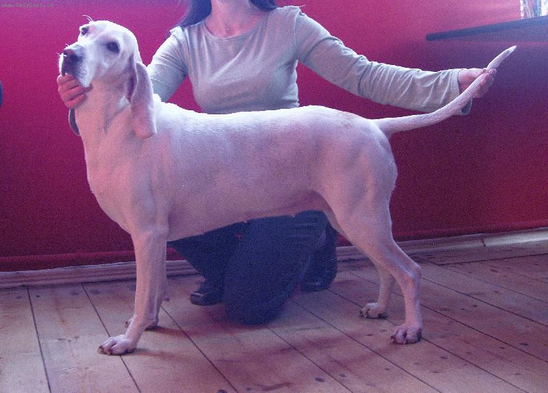 Foto: ICh.Penny-ICh.Penny