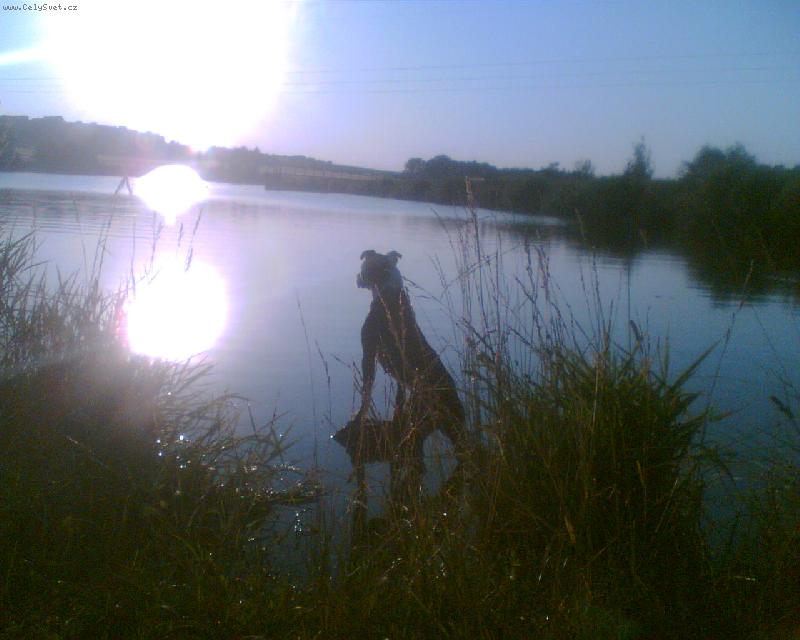 Foto: Ewe