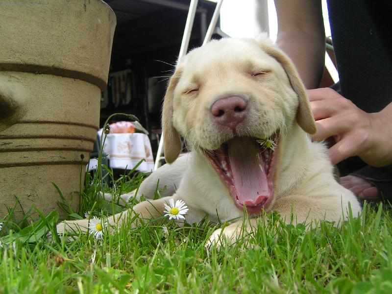 Foto: Charlie