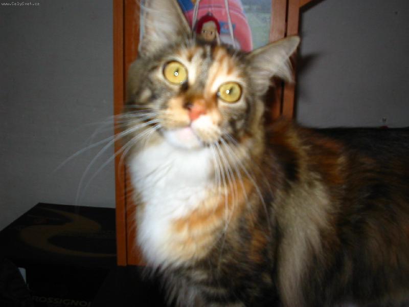 Foto: �arlota