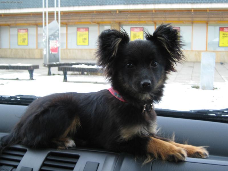 Foto: Lucy-u��m se ��dit