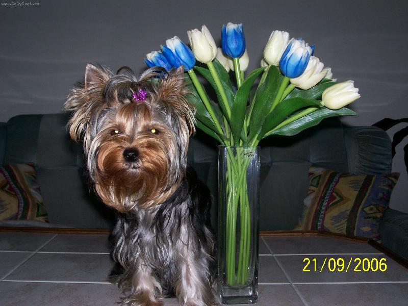 Foto: Bessy