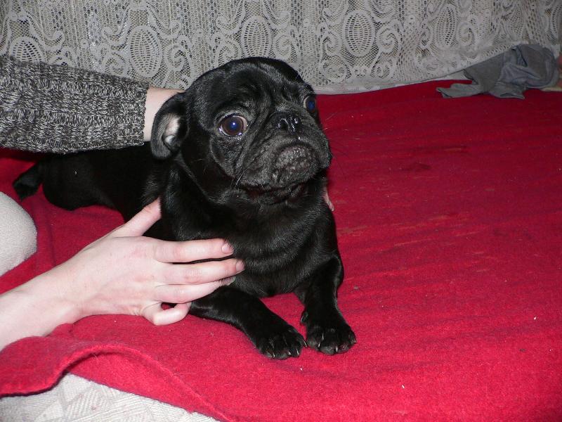 Foto: Max�k