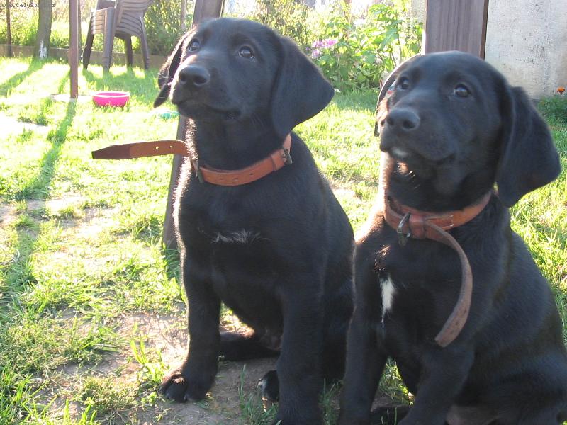 Foto: Bara & Ben
