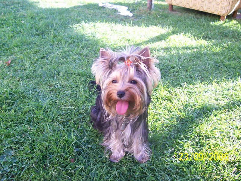 Foto: Bessy