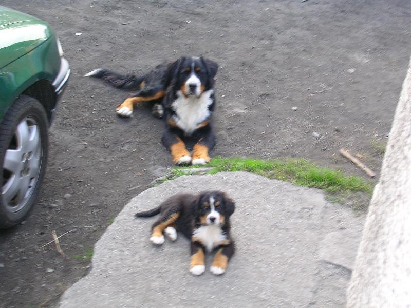 Foto: Max a Sam