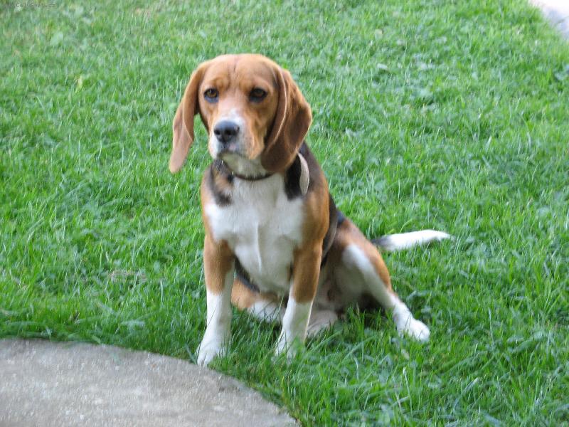 Foto: Na�e Tarinka