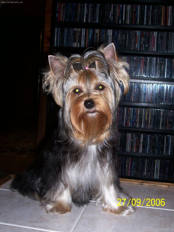 Foto: Bessy