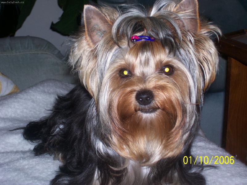 Foto: Bessy
