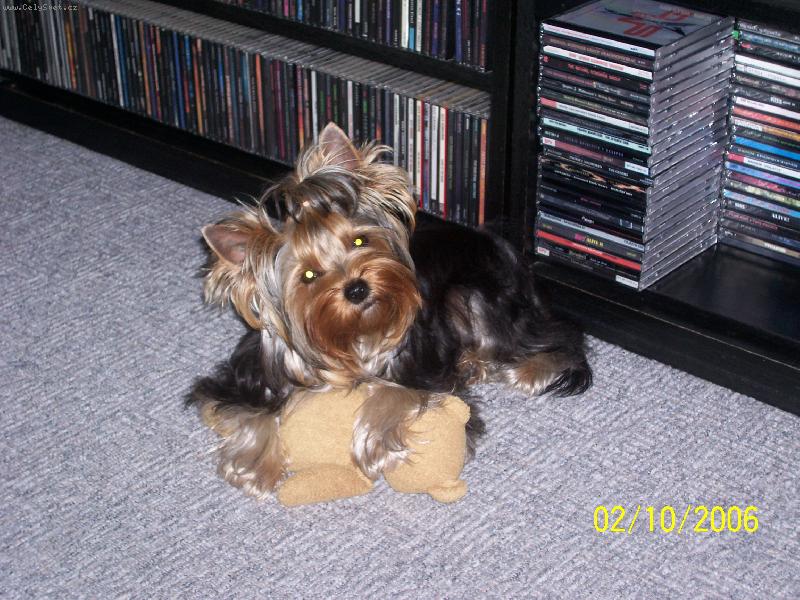 Foto: Bessy