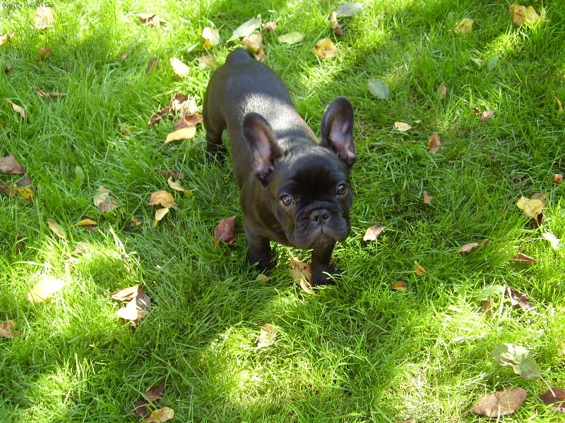 Foto: Lucky