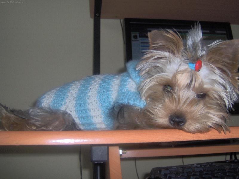 Foto: Magie