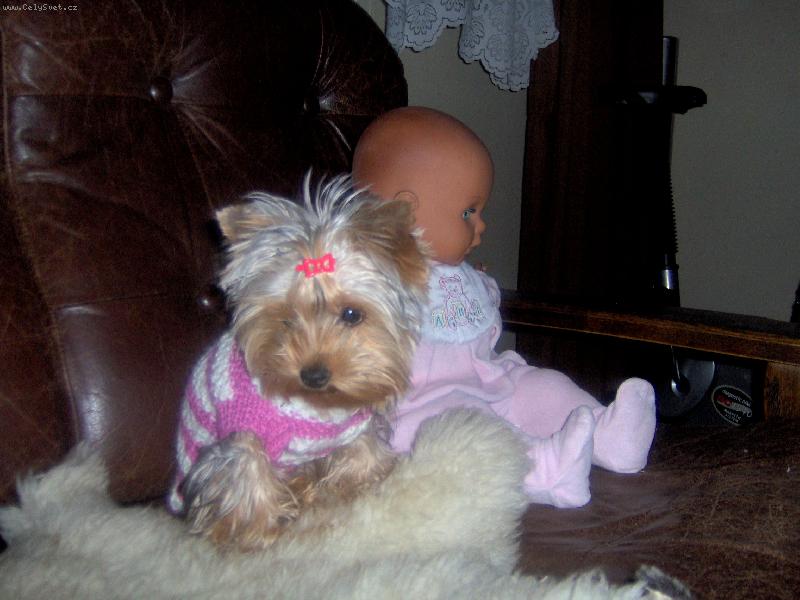 Foto: Magie